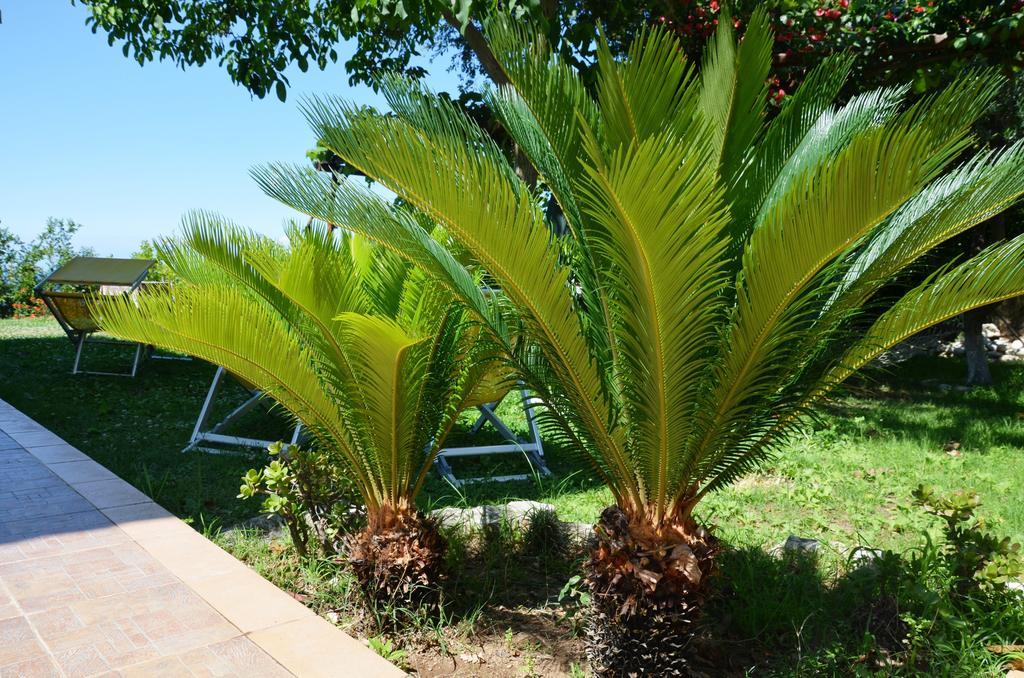 Guest House Belvedere Tropea Exterior foto